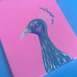 Pretty Little Peacock